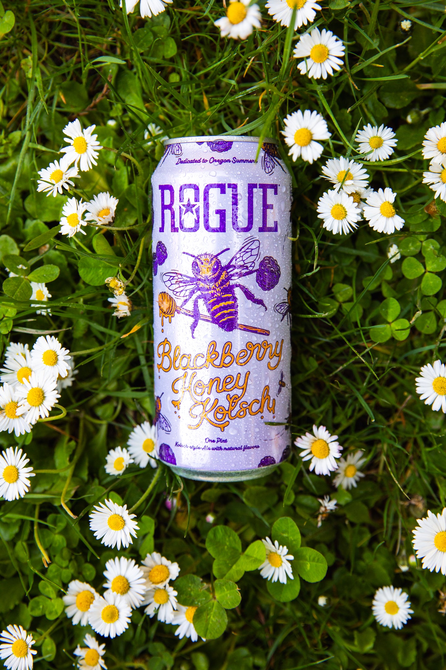 Blackberry Honey Kolsch