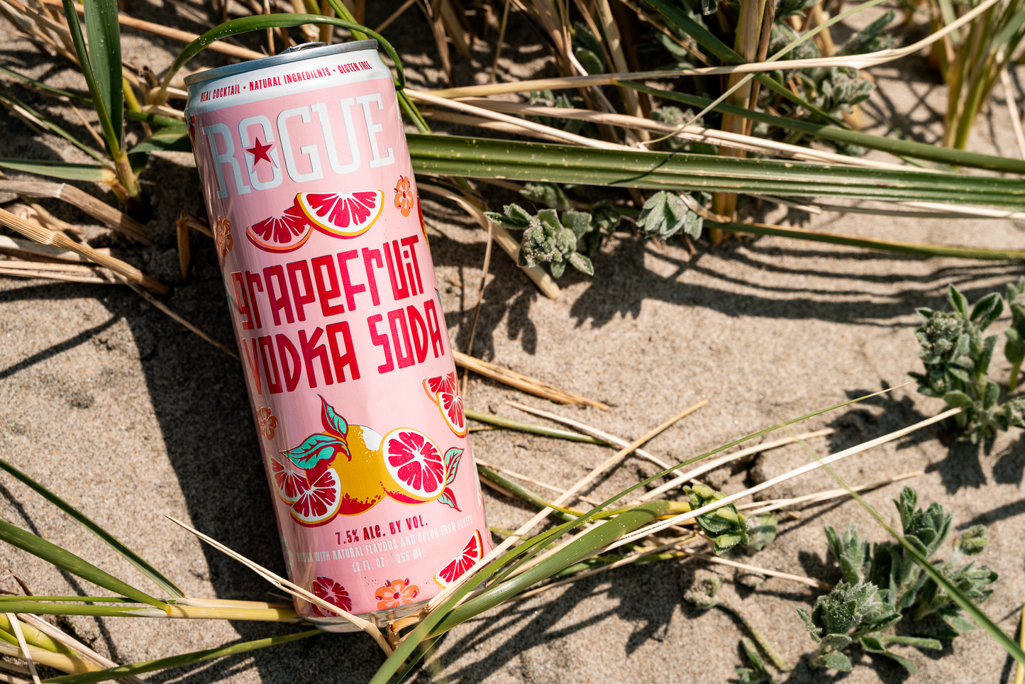 Grapefruit Vodka Soda 4-pack